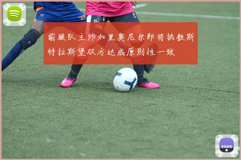 前狼队主帅加里奥尼尔即将执教斯特拉斯堡双方达成原则性一致
